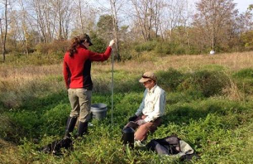 Volunteers placing bird house