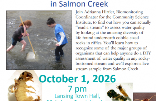 Reading Water Quality flyer