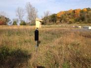 Nest box