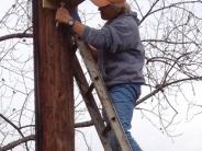 Volunteers install birdhouse