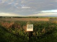 little sign in big field