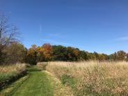 trail path through meadow. Blue sky