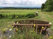 Picture of lookout/bench