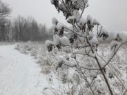 picture of trail in winter. snow on ground