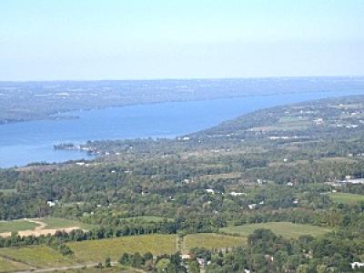 Lansing aerial