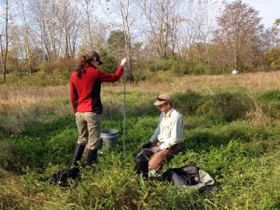 Volunteers placing bird house